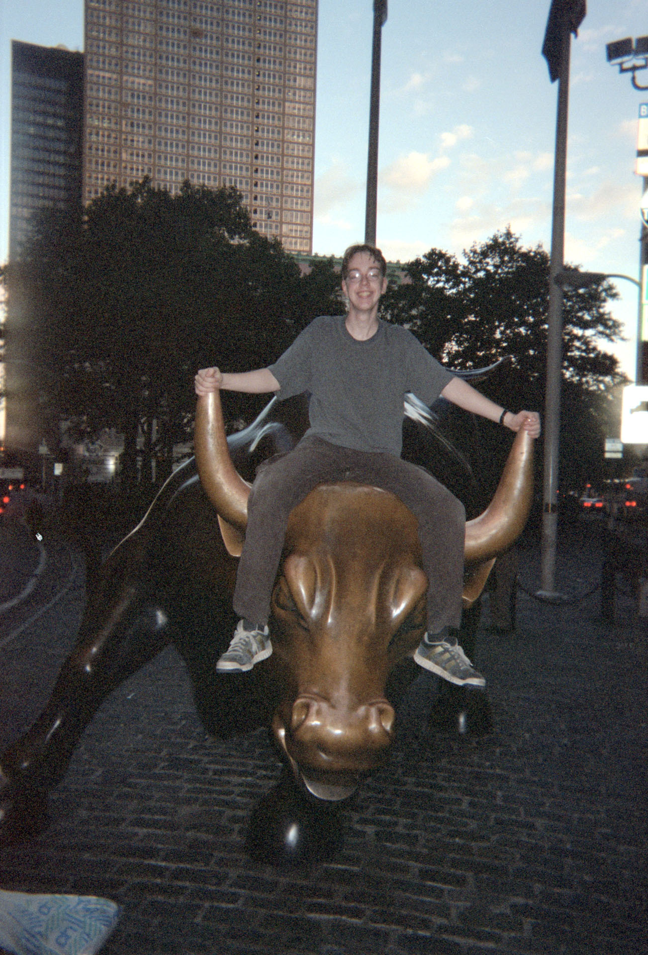 Charging Bull