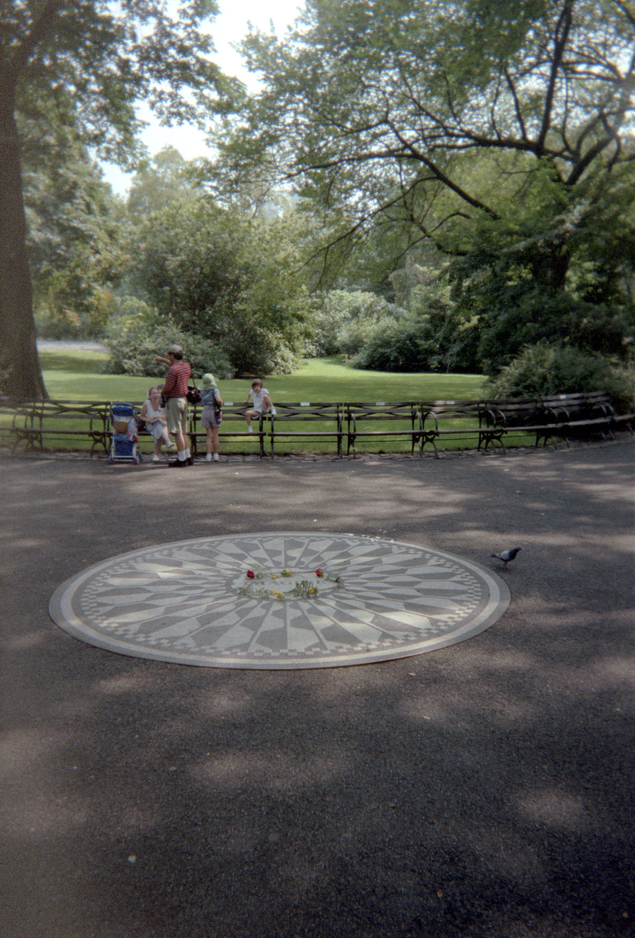 Strawberry Fields