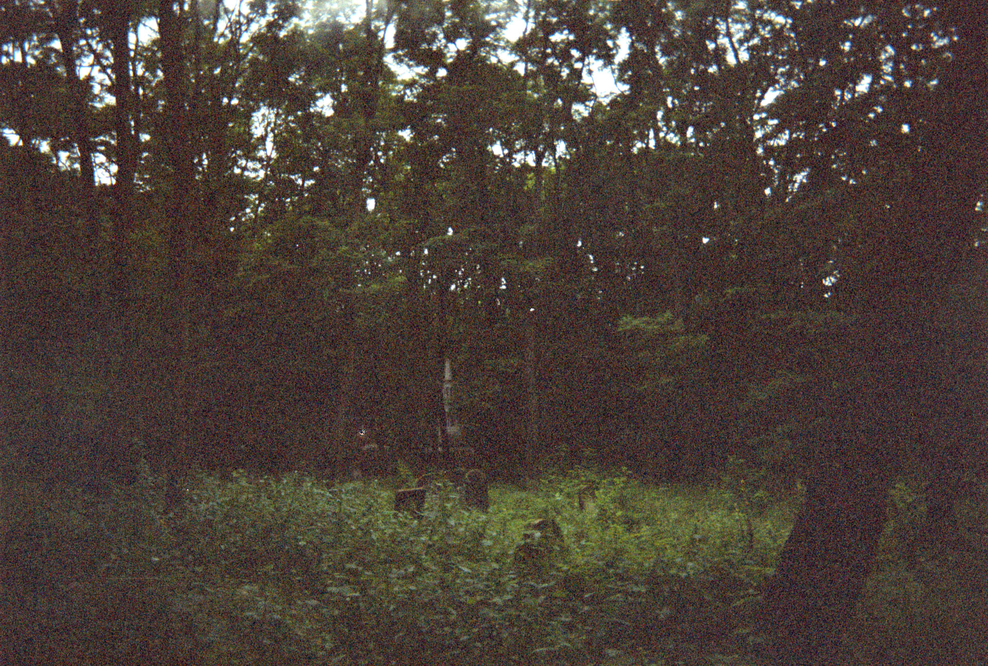 Okopowa Street Jewish Cemetery
