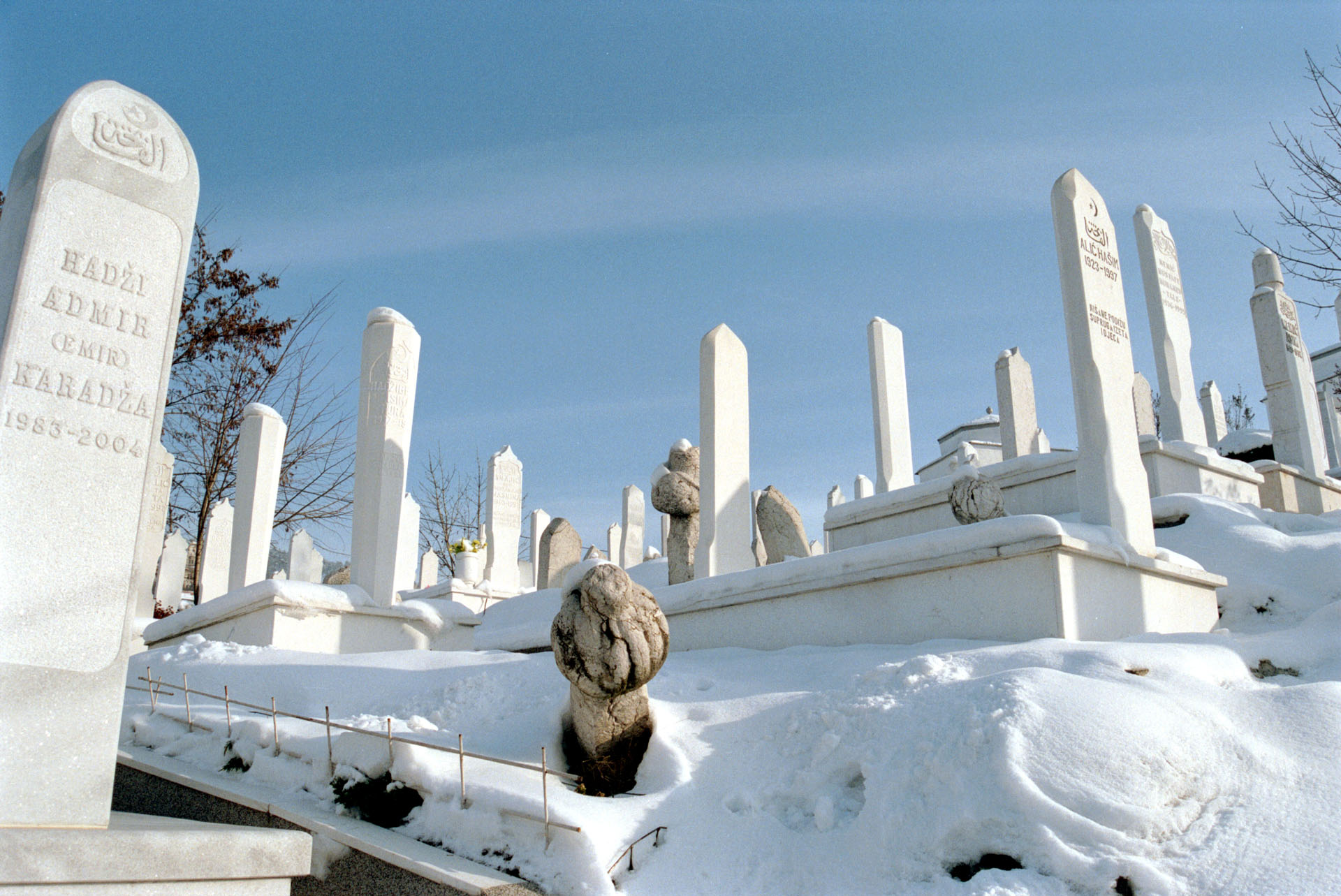 Alifakovac Cemetery