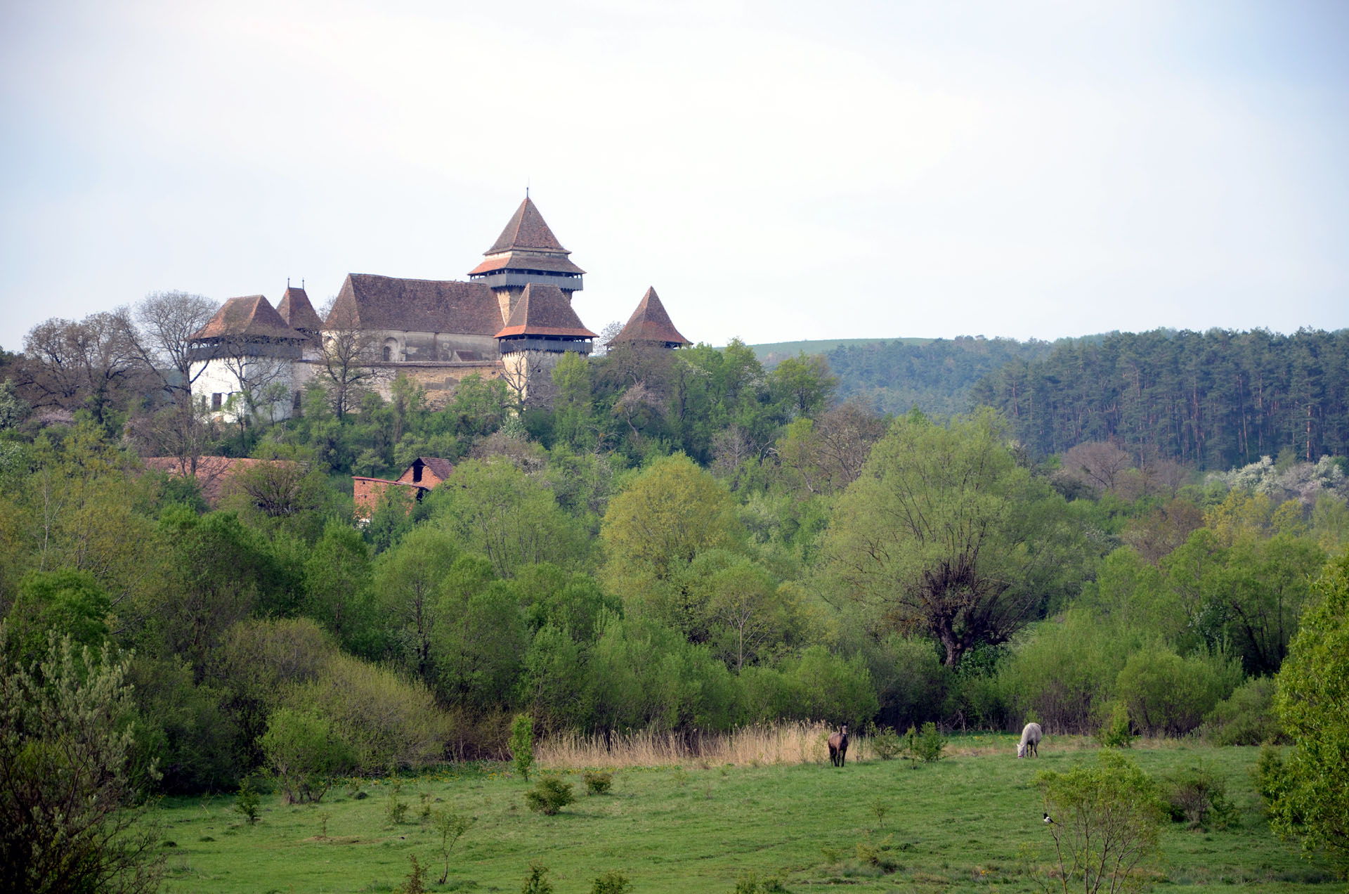 Viscri Fortified Church