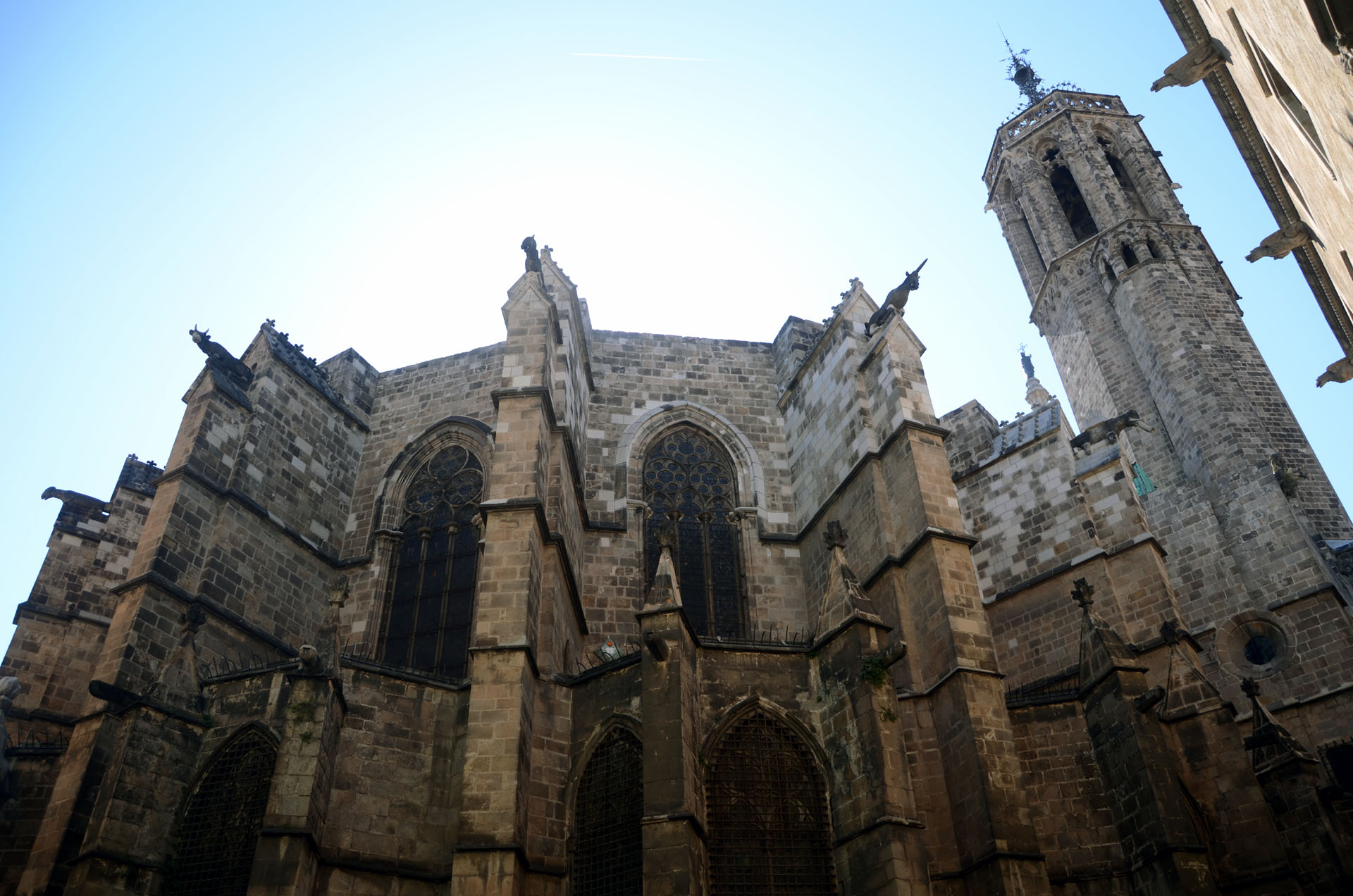 Barcelona Cathedral