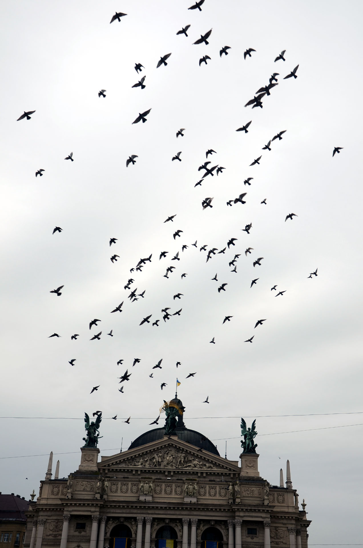 Lviv Theatre of Opera and Ballet