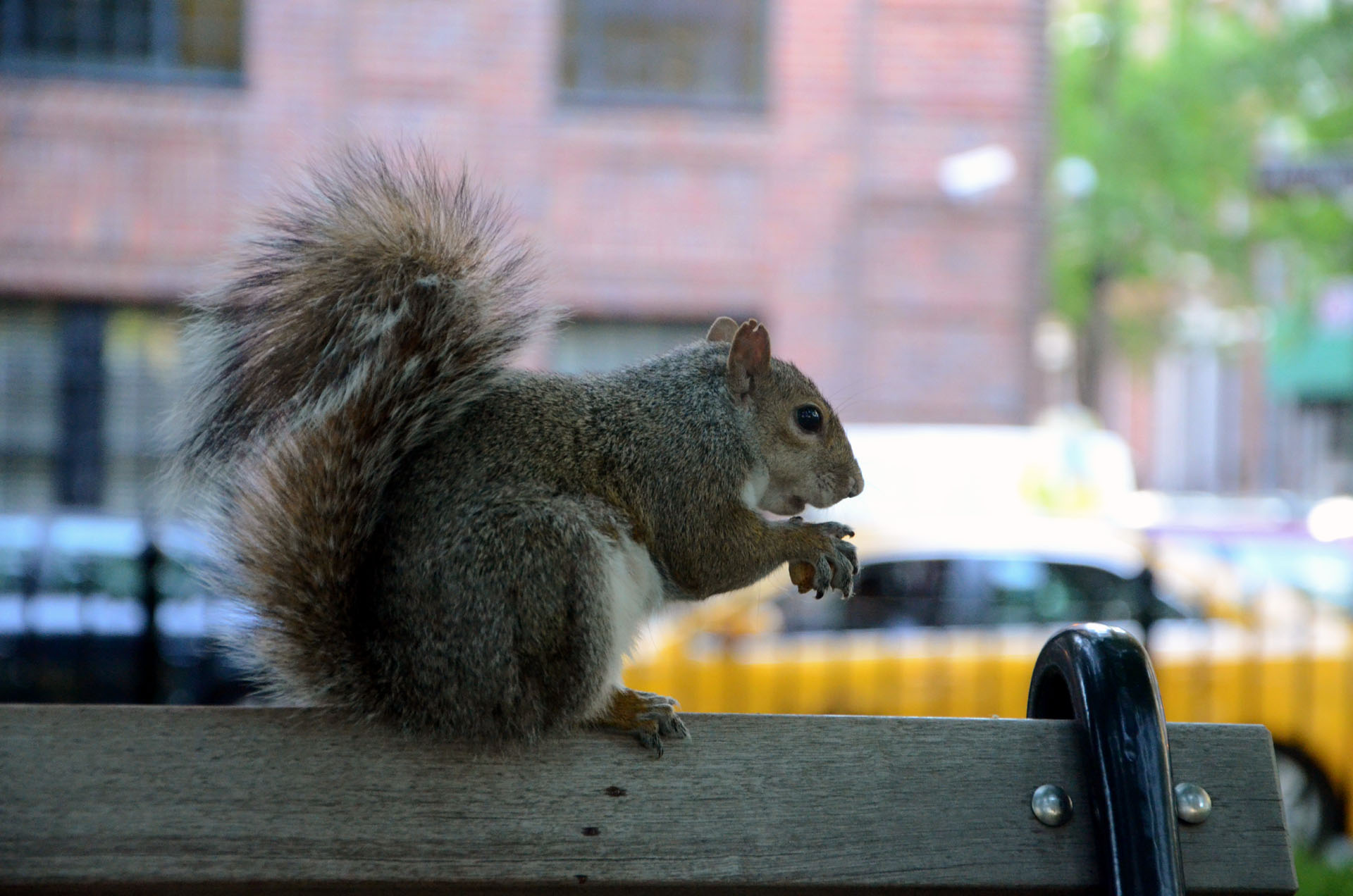 Washington Square Park