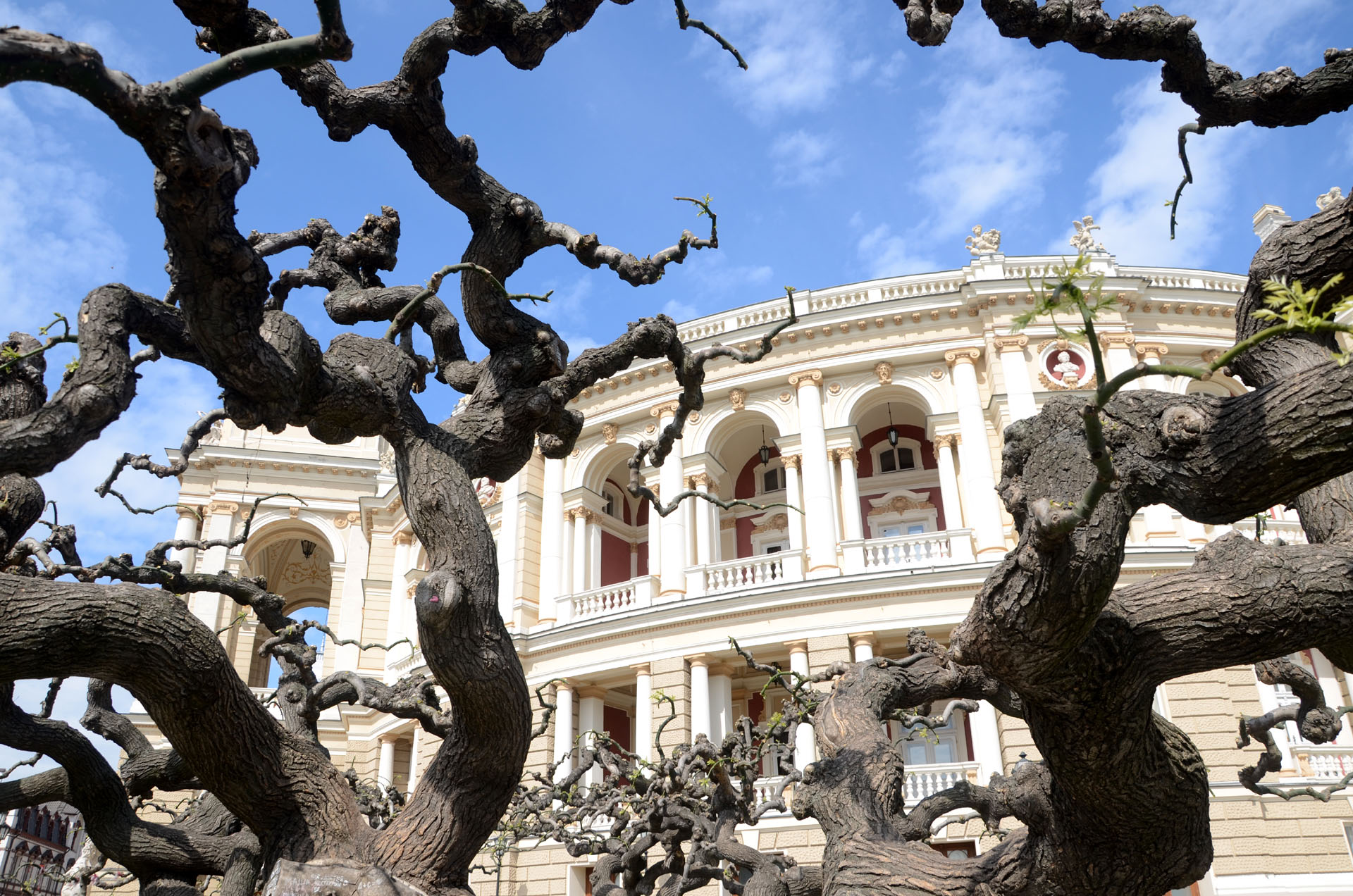 Odesa Opera and Ballet Theatre