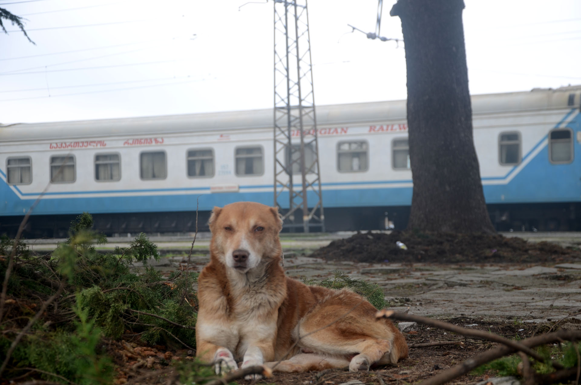 Zugdidi Railway Station