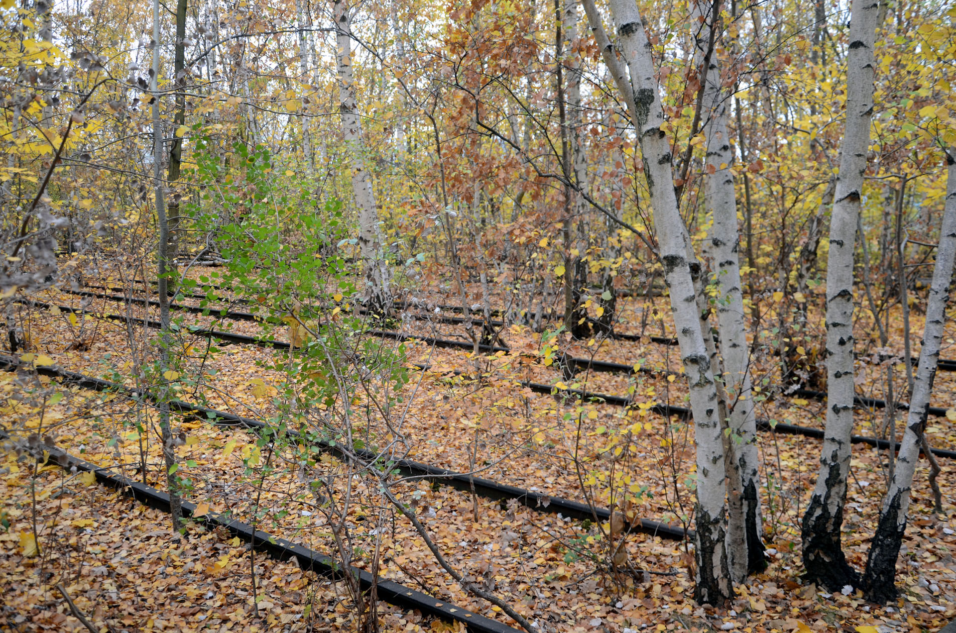 Park am Gleisdreieck
