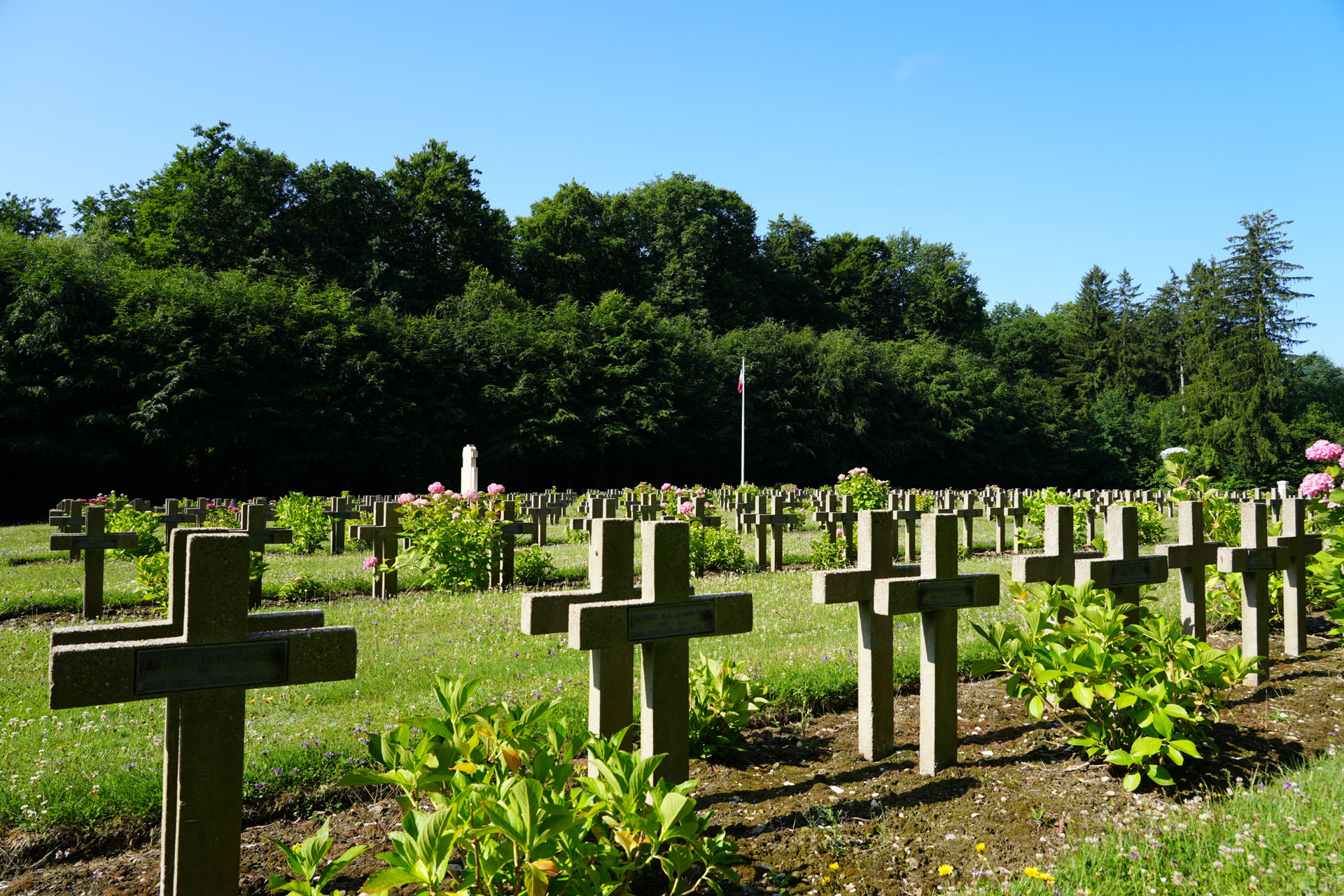 Nécropole nationale de La Forestière