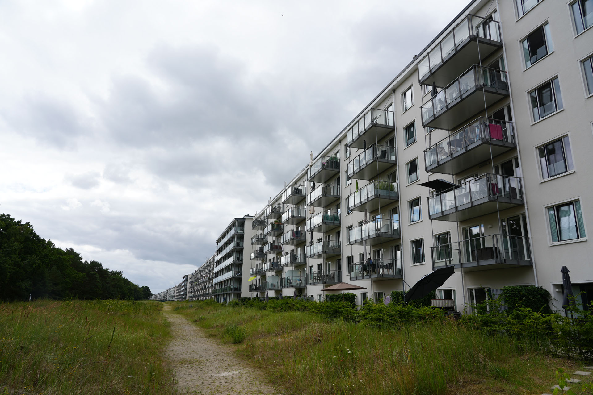 Prora